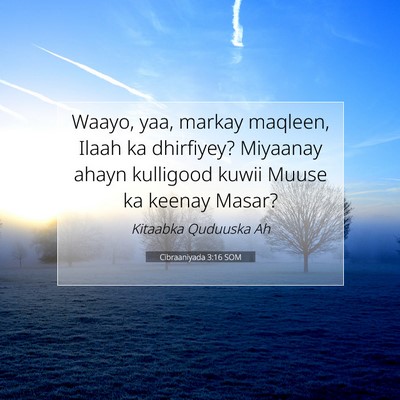 Picture 07 - Cibraaniyada 3:16 SOM - Waayo, yaa, markay maqleen, Ilaah ka dhirfiyey? - Bible Verse Picture