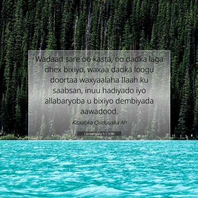 Picture 07 - Cibraaniyada 5:1 SOM - Wadaad sare oo kasta, oo dadka laga dhex bixiyo, - Bible Verse Picture