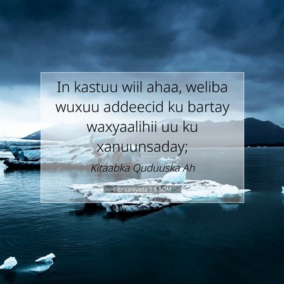 Picture 07 - Cibraaniyada 5:8 SOM - In kastuu wiil ahaa, weliba wuxuu addeecid ku - Bible Verse Picture