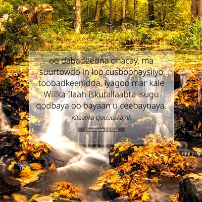 Picture 07 - Cibraaniyada 6:6 SOM - oo dabadeedna dhacay, ma suurtowdo in loo - Bible Verse Picture