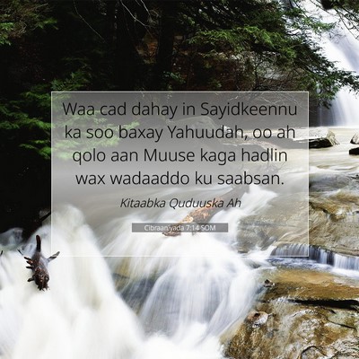 Picture 07 - Cibraaniyada 7:14 SOM - Waa cad dahay in Sayidkeennu ka soo baxay - Bible Verse Picture