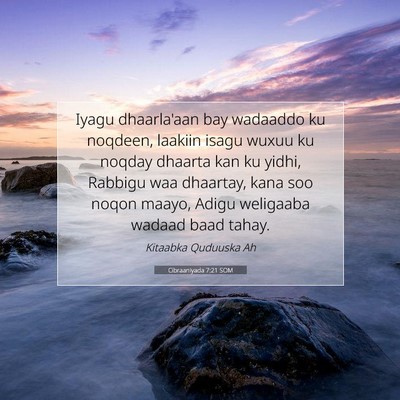 Picture 07 - Cibraaniyada 7:21 SOM - Iyagu dhaarla'aan bay wadaaddo ku noqdeen, - Bible Verse Picture