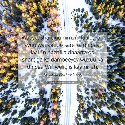 Picture 07 - Cibraaniyada 7:28 SOM - Waayo, sharcigu niman itaaldaran ayuu wadaaddo - Bible Verse Picture