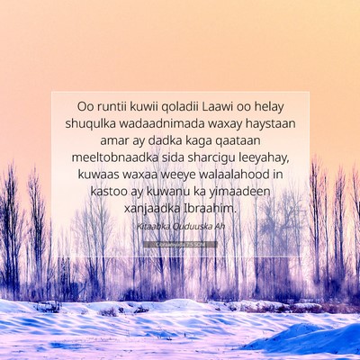 Picture 07 - Cibraaniyada 7:5 SOM - Oo runtii kuwii qoladii Laawi oo helay shuqulka - Bible Verse Picture
