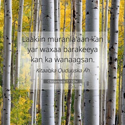 Picture 07 - Cibraaniyada 7:7 SOM - Laakiin muranla'aan kan yar waxaa barakeeya kan - Bible Verse Picture