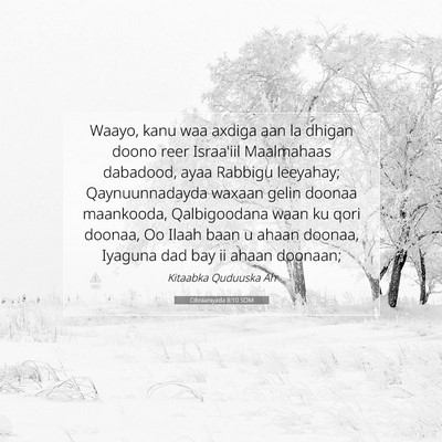Picture 07 - Cibraaniyada 8:10 SOM - Waayo, kanu waa axdiga aan la dhigan doono reer - Bible Verse Picture