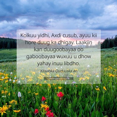 Picture 07 - Cibraaniyada 8:13 SOM - Kolkuu yidhi, Axdi cusub, ayuu kii hore duug ka - Bible Verse Picture