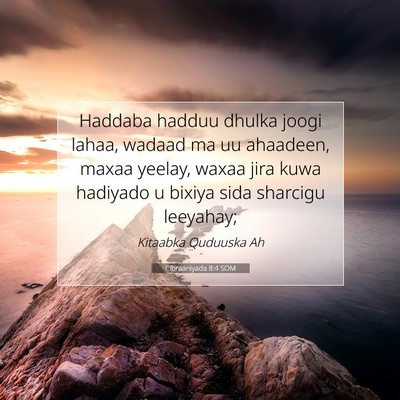 Picture 07 - Cibraaniyada 8:4 SOM - Haddaba hadduu dhulka joogi lahaa, wadaad ma uu - Bible Verse Picture