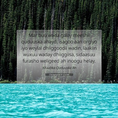 Picture 07 - Cibraaniyada 9:12 SOM - Mar buu wada galay meeshii quduuska ahayd, isagoo - Bible Verse Picture