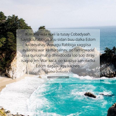 Picture 07 - Cobadyaah 1:1 SOM - Kuwanu waa wixii la tusay Cobadyaah. Sayidka - Bible Verse Picture