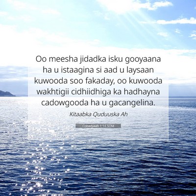 Picture 07 - Cobadyaah 1:14 SOM - Oo meesha jidadka isku gooyaana ha u istaagina si - Bible Verse Picture