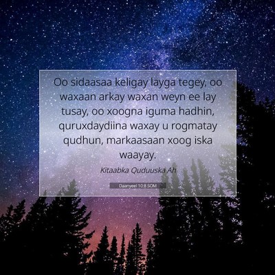 Picture 07 - Daanyeel 10:8 SOM - Oo sidaasaa keligay layga tegey, oo waxaan arkay - Bible Verse Picture