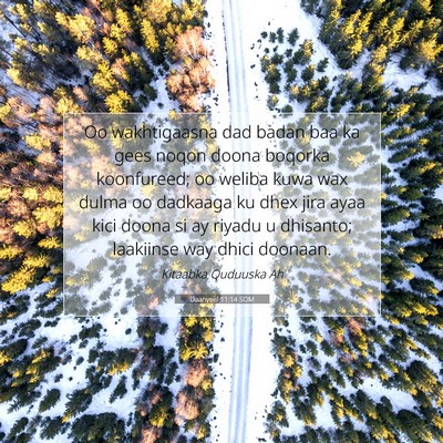 Picture 07 - Daanyeel 11:14 SOM - Oo wakhtigaasna dad badan baa ka gees noqon doona - Bible Verse Picture