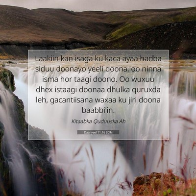 Picture 07 - Daanyeel 11:16 SOM - Laakiin kan isaga ku kaca ayaa hadba siduu - Bible Verse Picture