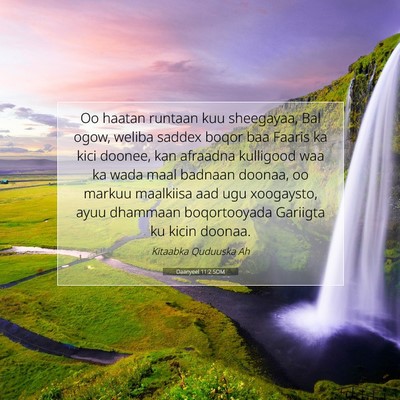 Picture 07 - Daanyeel 11:2 SOM - Oo haatan runtaan kuu sheegayaa, Bal ogow, weliba - Bible Verse Picture