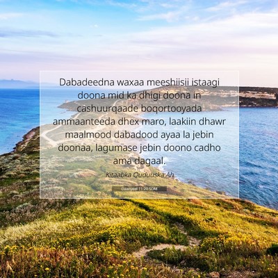Picture 07 - Daanyeel 11:20 SOM - Dabadeedna waxaa meeshiisii istaagi doona mid ka - Bible Verse Picture