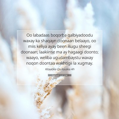 Picture 07 - Daanyeel 11:27 SOM - Oo labadaas boqorba qalbiyadoodu waxay ka shaqayn - Bible Verse Picture