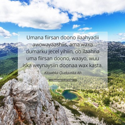 Picture 07 - Daanyeel 11:37 SOM - Umana fiirsan doono ilaahyadii awowayaashiis, ama - Bible Verse Picture