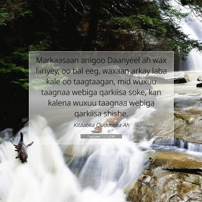 Picture 07 - Daanyeel 12:5 SOM - Markaasaan anigoo Daanyeel ah wax fiiriyey, oo - Bible Verse Picture