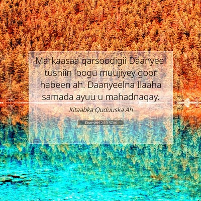 Picture 07 - Daanyeel 2:19 SOM - Markaasaa qarsoodigii Daanyeel tusniin loogu - Bible Verse Picture