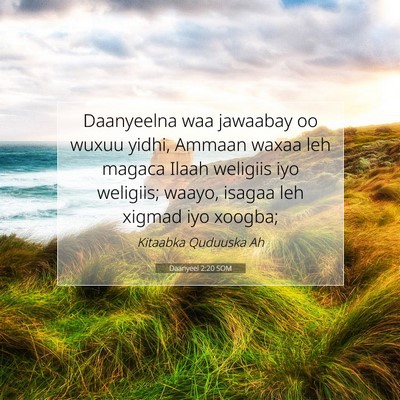 Picture 07 - Daanyeel 2:20 SOM - Daanyeelna waa jawaabay oo wuxuu yidhi, Ammaan - Bible Verse Picture