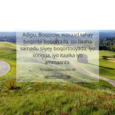 Picture 07 - Daanyeel 2:37 SOM - Adigu, Boqorow, waxaad tahay boqorkii boqorrada, - Bible Verse Picture