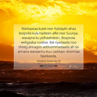 Picture 07 - Daanyeel 2:4 SOM - Markaasaa kuwii reer Kaldayiin ahaa boqorkii kula - Bible Verse Picture