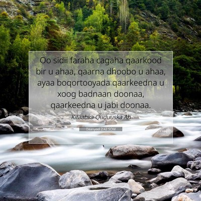 Picture 07 - Daanyeel 2:42 SOM - Oo sidii faraha cagaha qaarkood bir u ahaa, - Bible Verse Picture
