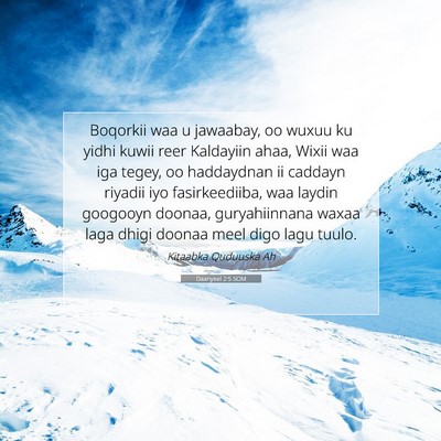 Picture 07 - Daanyeel 2:5 SOM - Boqorkii waa u jawaabay, oo wuxuu ku yidhi kuwii - Bible Verse Picture