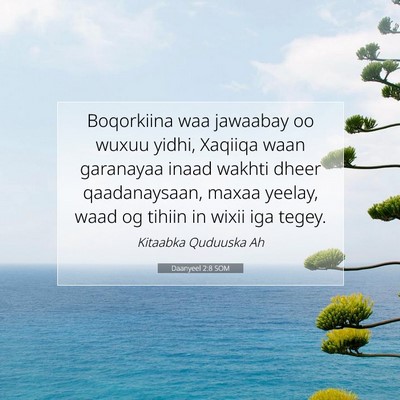 Picture 07 - Daanyeel 2:8 SOM - Boqorkiina waa jawaabay oo wuxuu yidhi, Xaqiiqa - Bible Verse Picture
