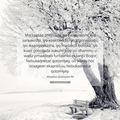 Picture 07 - Daanyeel 3:3 SOM - Markaasaa amiirradii, iyo taliyayaashii, iyo - Bible Verse Picture