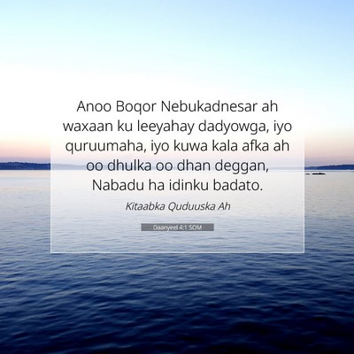 Picture 07 - Daanyeel 4:1 SOM - Anoo Boqor Nebukadnesar ah waxaan ku leeyahay - Bible Verse Picture