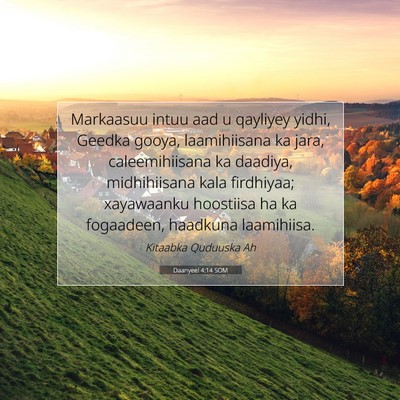 Picture 07 - Daanyeel 4:14 SOM - Markaasuu intuu aad u qayliyey yidhi, Geedka - Bible Verse Picture