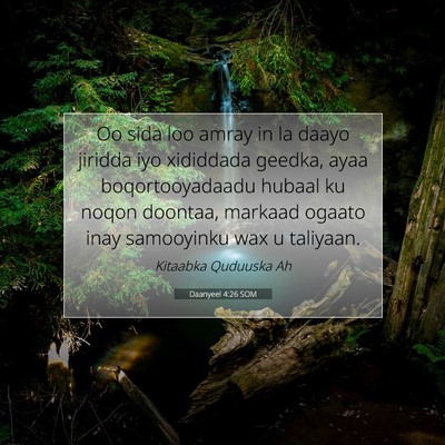Picture 07 - Daanyeel 4:26 SOM - Oo sida loo amray in la daayo jiridda iyo - Bible Verse Picture