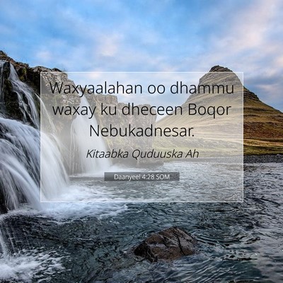 Picture 07 - Daanyeel 4:28 SOM - Waxyaalahan oo dhammu waxay ku dheceen Boqor - Bible Verse Picture