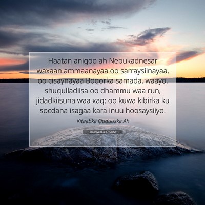Picture 07 - Daanyeel 4:37 SOM - Haatan anigoo ah Nebukadnesar waxaan ammaanayaa - Bible Verse Picture