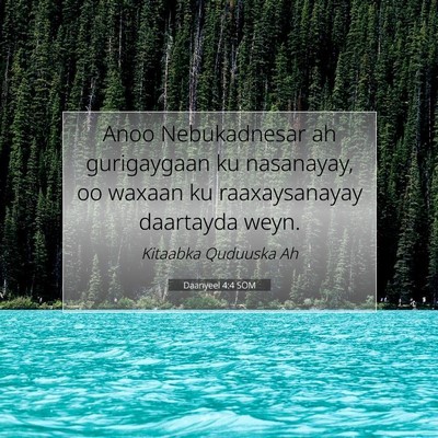Picture 07 - Daanyeel 4:4 SOM - Anoo Nebukadnesar ah gurigaygaan ku nasanayay, oo - Bible Verse Picture