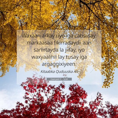 Picture 07 - Daanyeel 4:5 SOM - Waxaan arkay riyo iga cabsiisay, markaasaa - Bible Verse Picture