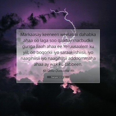 Picture 07 - Daanyeel 5:3 SOM - Markaasay keeneen weelashii dahabka ahaa oo laga - Bible Verse Picture