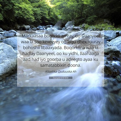 Picture 07 - Daanyeel 6:16 SOM - Markaasaa boqorkii amray, oo Daanyeel waa la soo - Bible Verse Picture