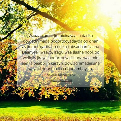 Picture 07 - Daanyeel 6:26 SOM - Waxaan amar ku bixinayaa in dadka dowladnimada - Bible Verse Picture