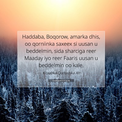 Picture 07 - Daanyeel 6:8 SOM - Haddaba, Boqorow, amarka dhis, oo qorniinka - Bible Verse Picture