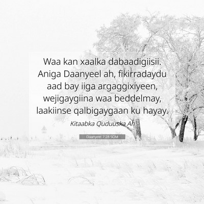 Picture 07 - Daanyeel 7:28 SOM - Waa kan xaalka dabaadigiisii. Aniga Daanyeel ah, - Bible Verse Picture