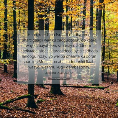 Picture 07 - Daanyeel 9:11 SOM - Haah, reer binu Israa'iil oo dhammu sharcigaagii - Bible Verse Picture