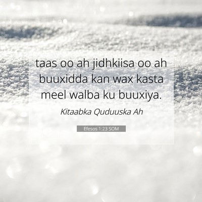 Picture 07 - Efesos 1:23 SOM - taas oo ah jidhkiisa oo ah buuxidda kan wax kasta - Bible Verse Picture