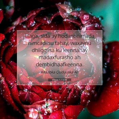 Picture 07 - Efesos 1:7 SOM - Isaga, sida ay hodantinimada nimcadiisu tahay, - Bible Verse Picture