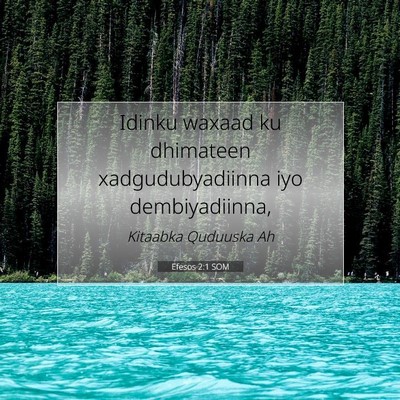 Picture 07 - Efesos 2:1 SOM - Idinku waxaad ku dhimateen xadgudubyadiinna iyo - Bible Verse Picture