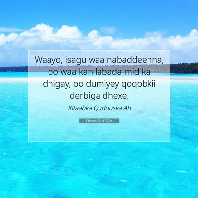 Picture 07 - Efesos 2:14 SOM - Waayo, isagu waa nabaddeenna, oo waa kan labada - Bible Verse Picture
