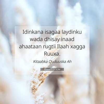 Picture 07 - Efesos 2:22 SOM - Idinkana isagaa laydinku wada dhisay inaad - Bible Verse Picture