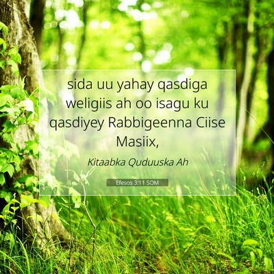 Picture 07 - Efesos 3:11 SOM - sida uu yahay qasdiga weligiis ah oo isagu ku - Bible Verse Picture